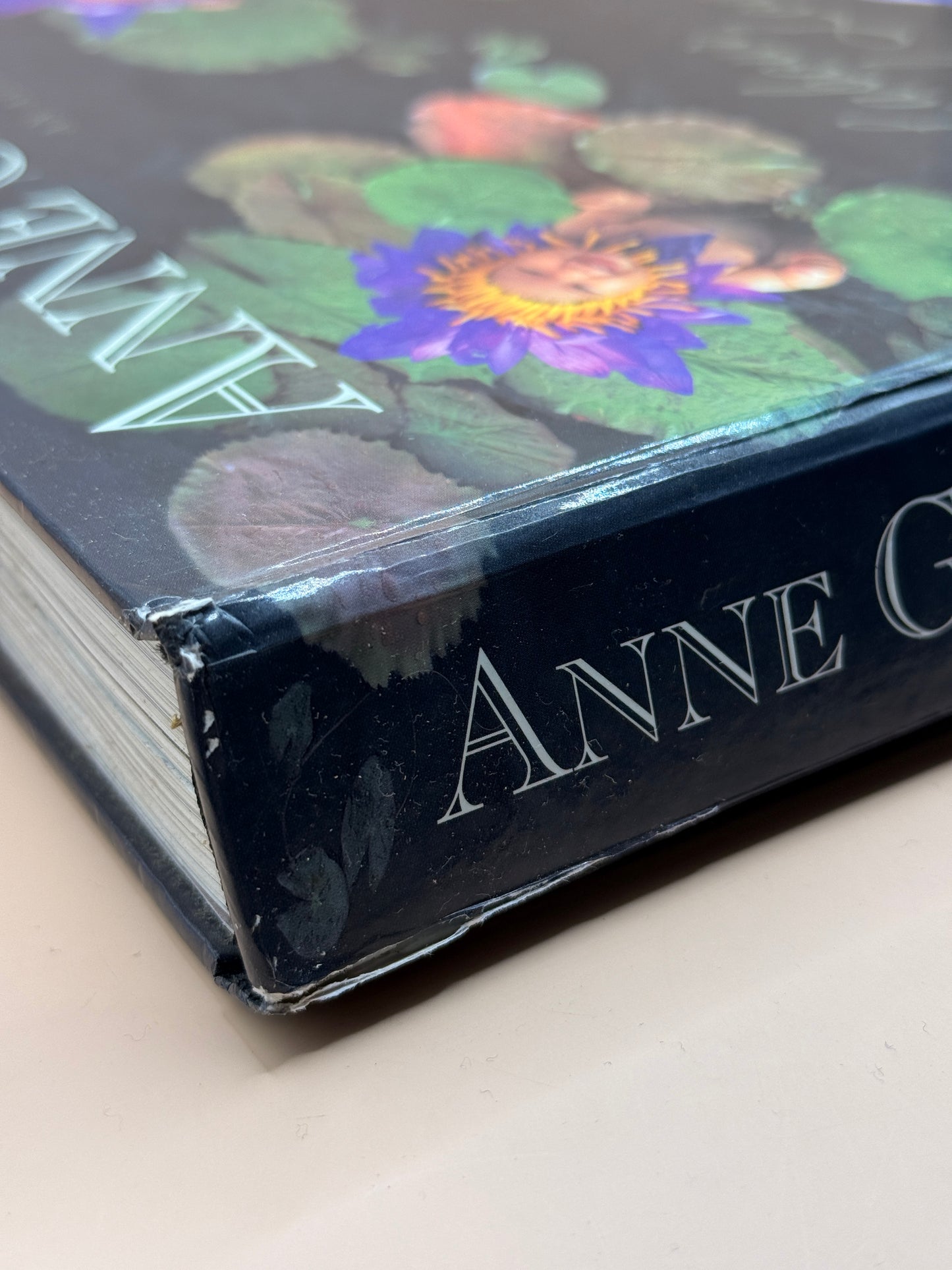 A Labour of Love by Anne Geddes