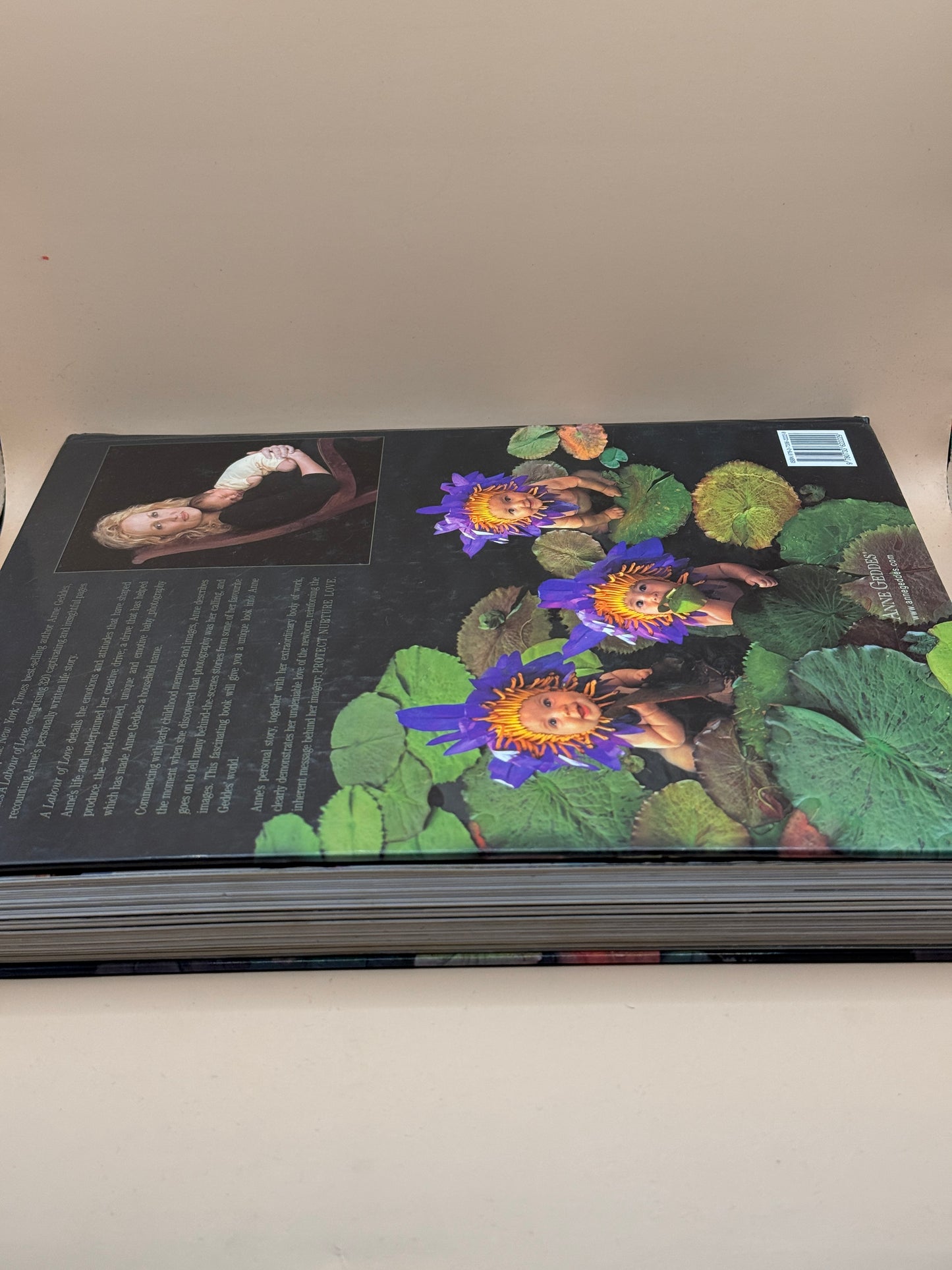 A Labour of Love by Anne Geddes