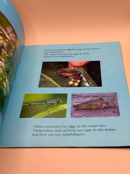 What is an Amphibian? by Feana Tu‘akoi