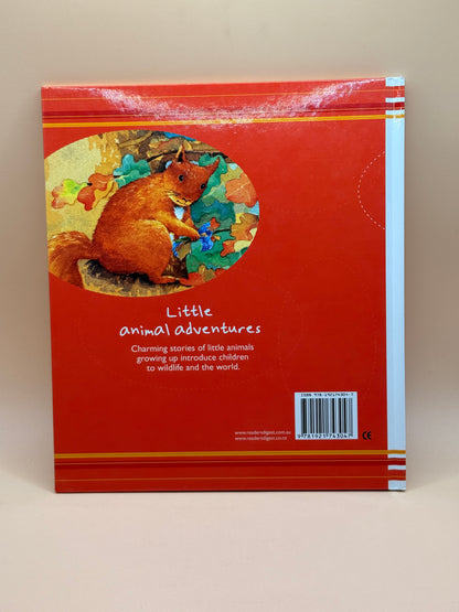 Little Squirrel's Special Nest by Readers Digest