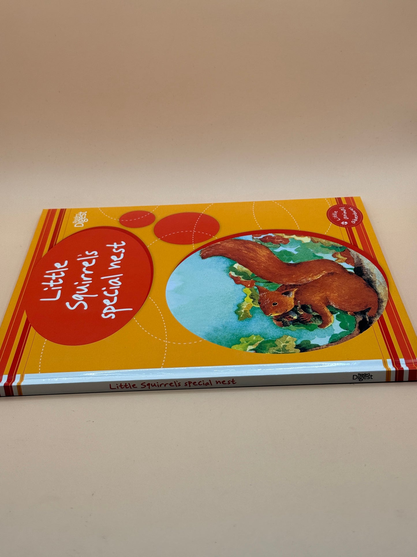 Little Squirrel's Special Nest by Readers Digest