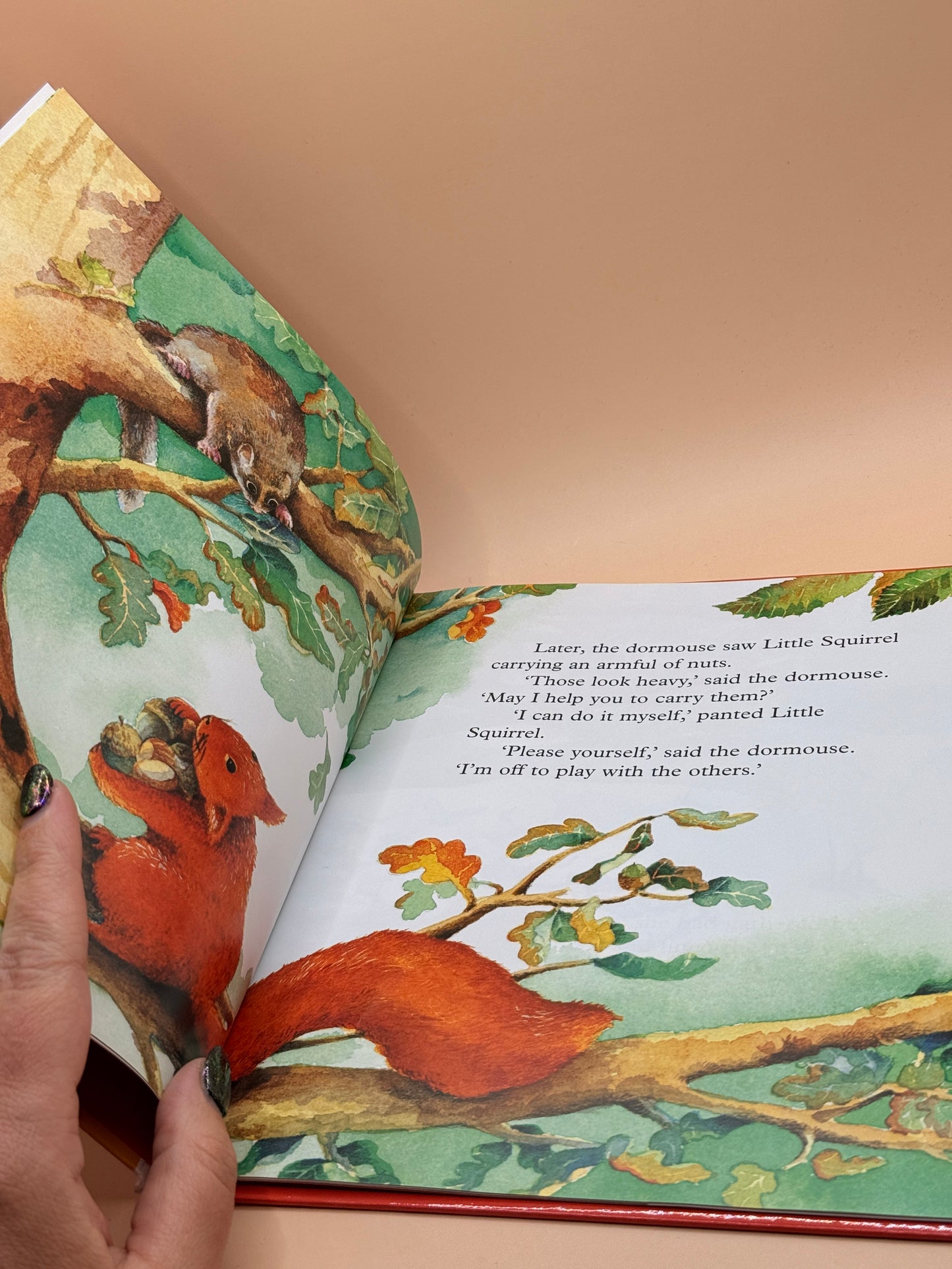 Little Squirrel's Special Nest by Readers Digest