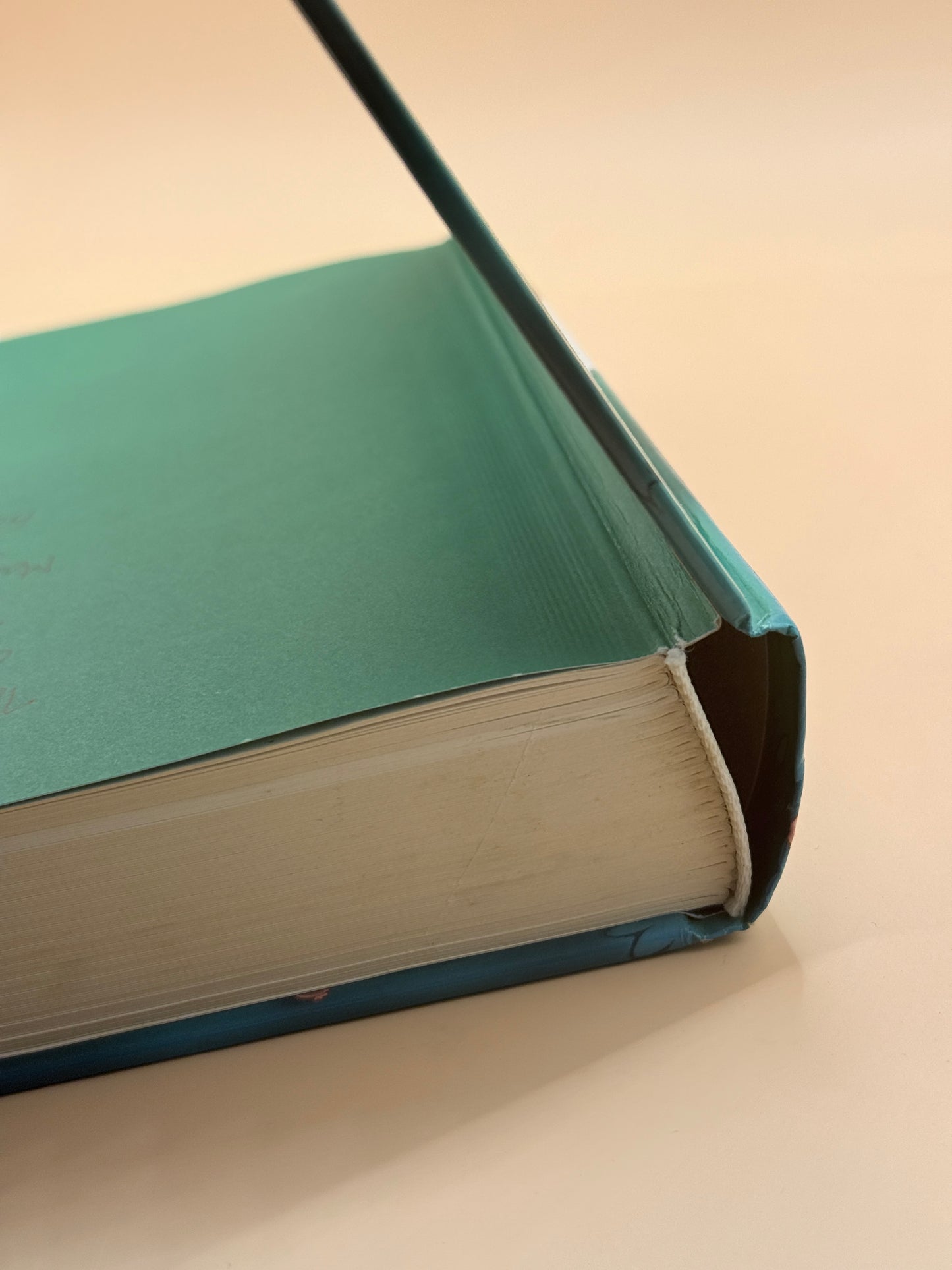 The Beginner's Bible: Timeless Children's Stories by Kelly Pulley