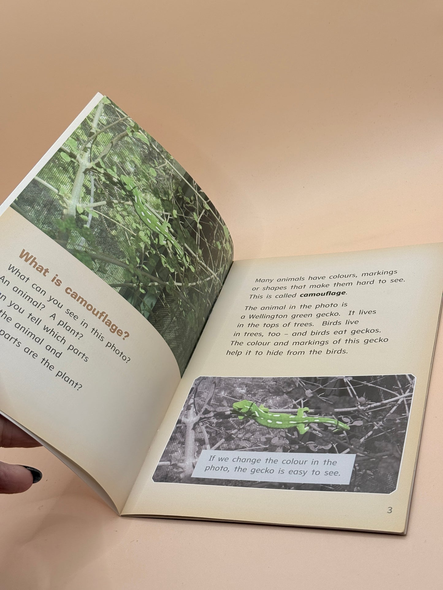Ready to Read: Camouflage by Andrew Gunn