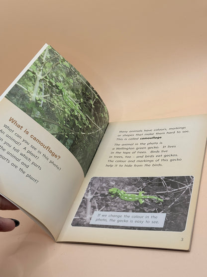 Ready to Read: Camouflage by Andrew Gunn