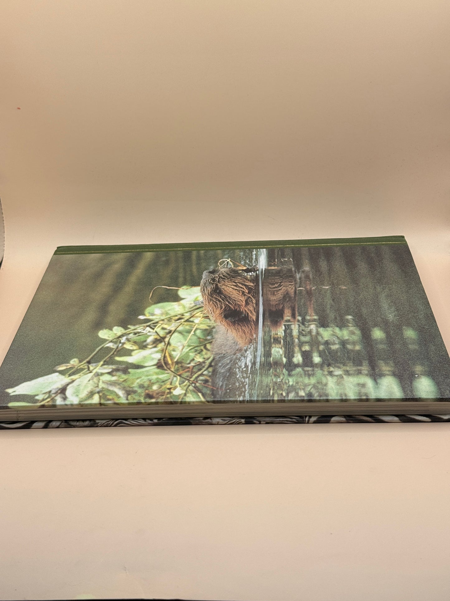 Reader’s Digest Intelligence in Animals