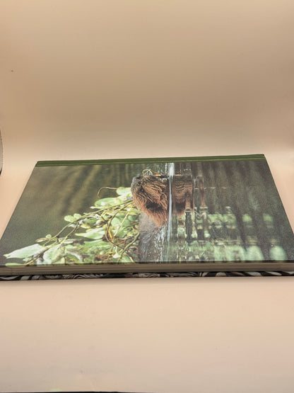 Reader’s Digest Intelligence in Animals
