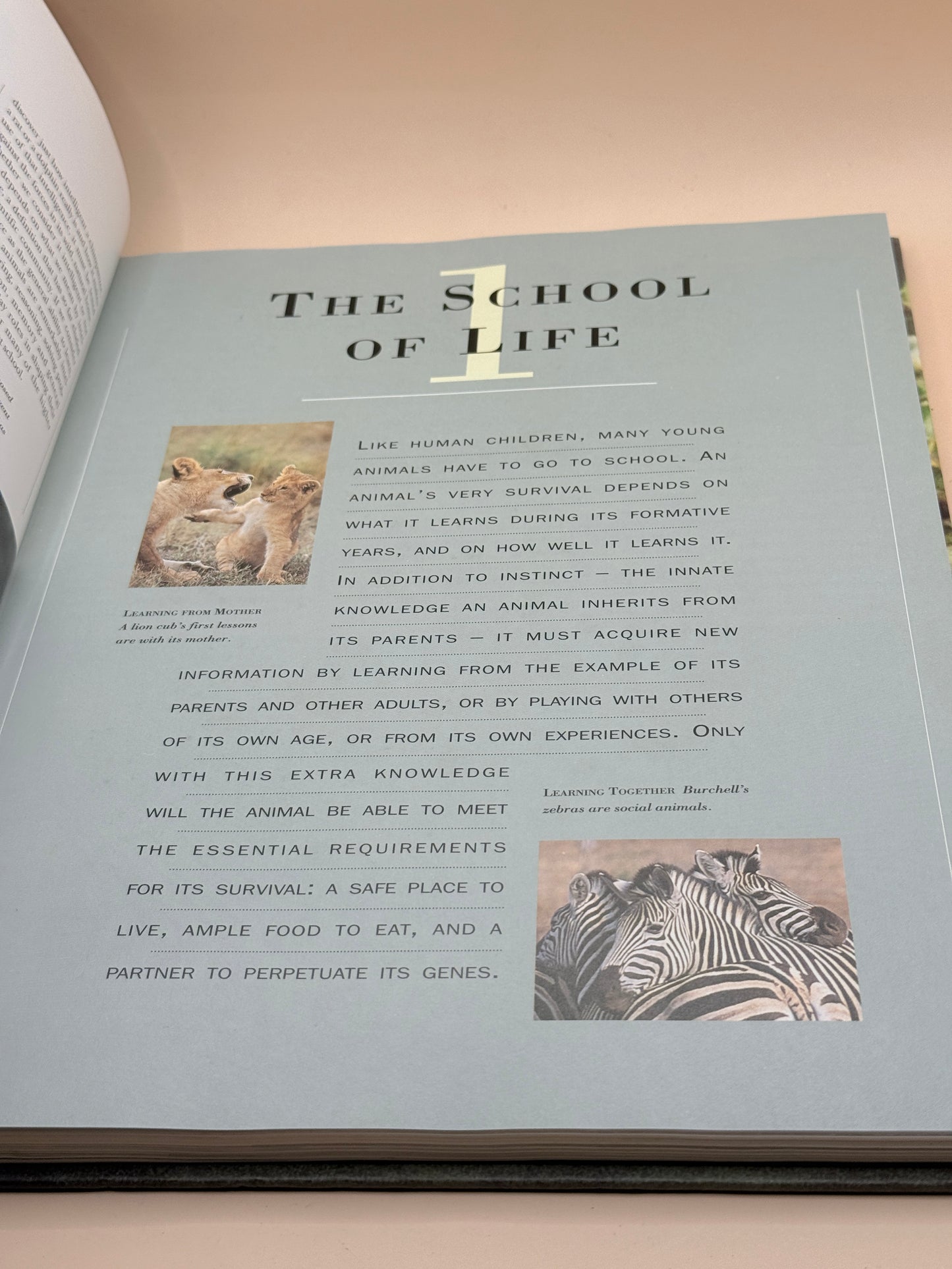Reader’s Digest Intelligence in Animals