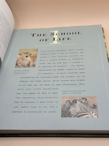 Reader’s Digest Intelligence in Animals
