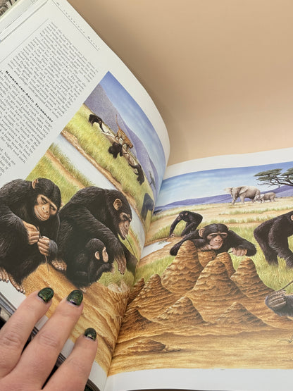 Reader’s Digest Intelligence in Animals