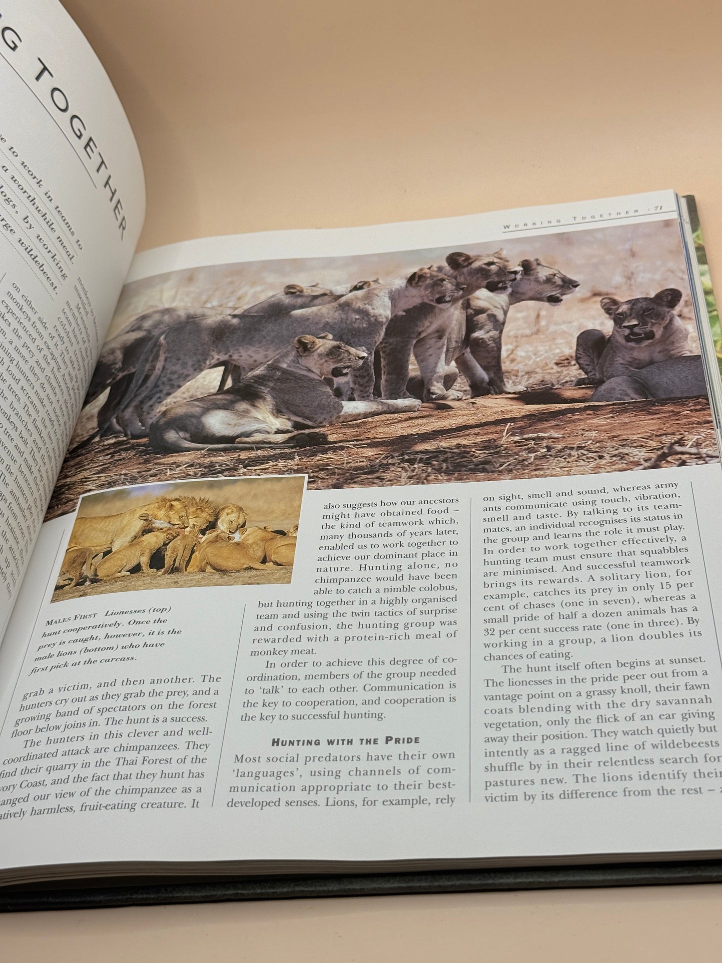 Reader’s Digest Intelligence in Animals