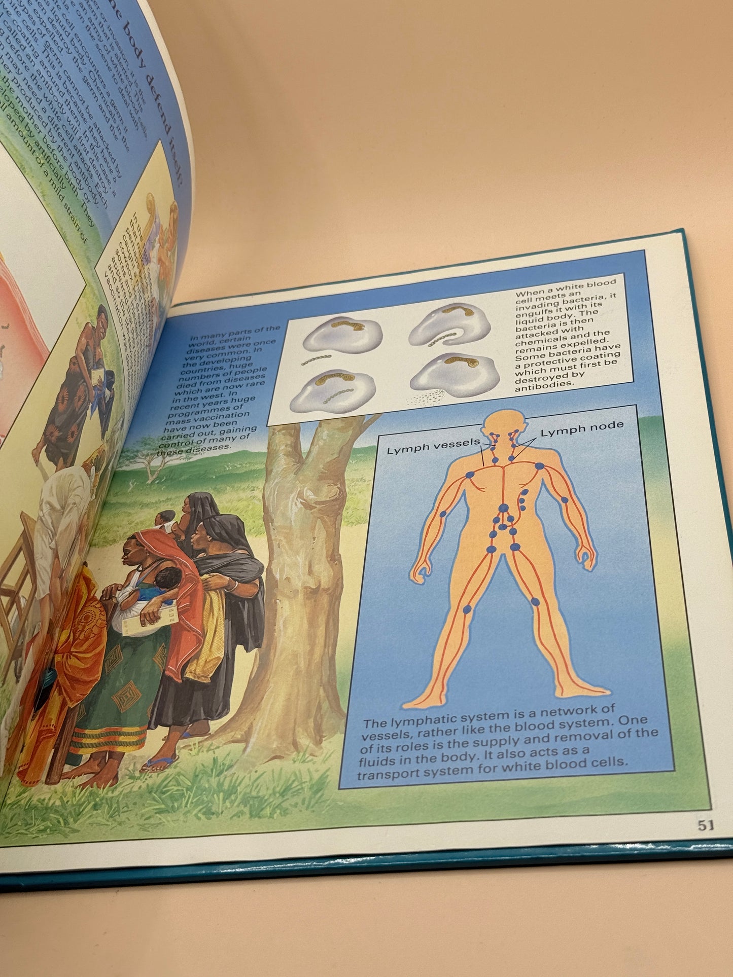 First Questions About the Human Body by Anita Ganeri