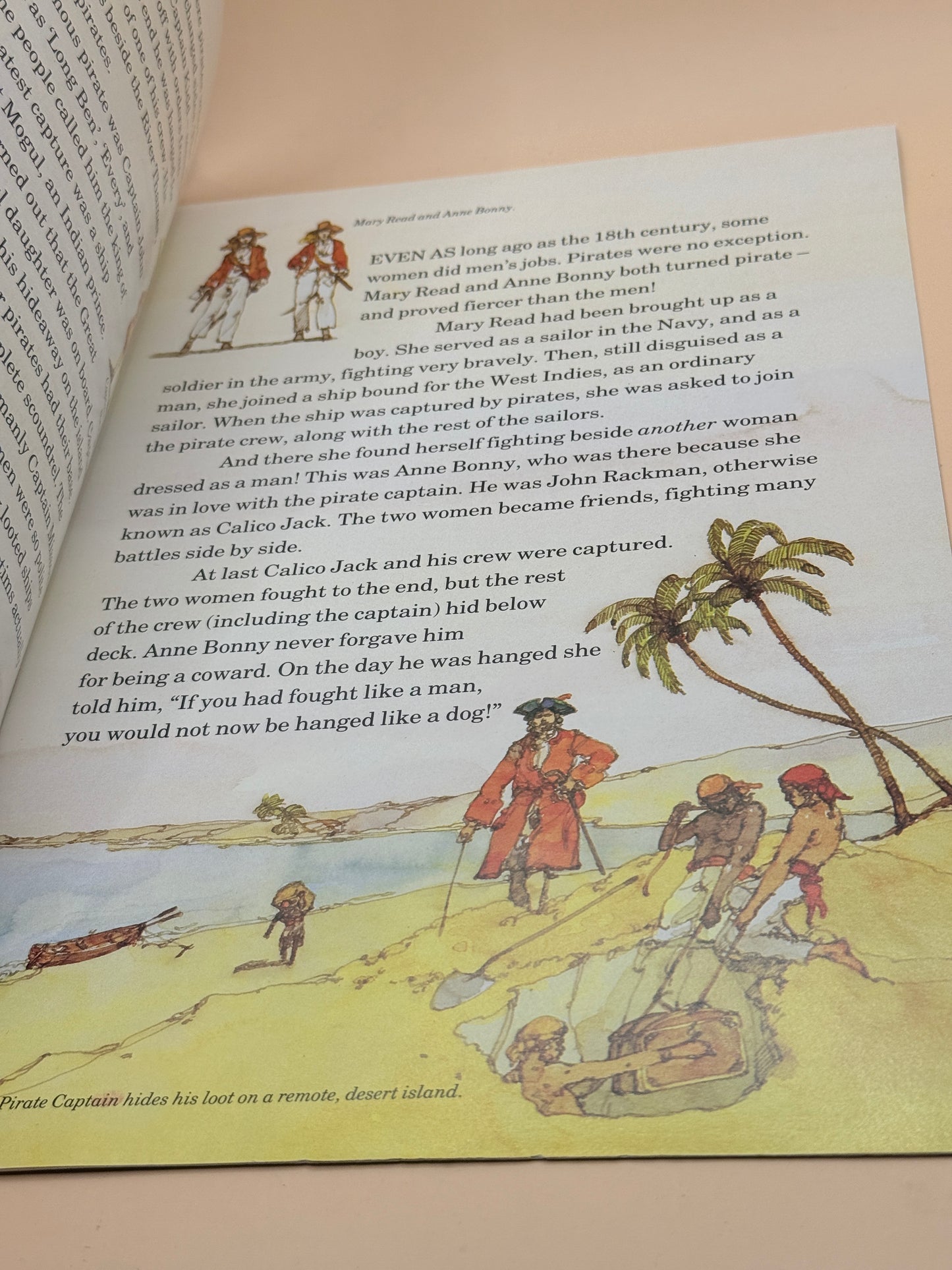 BP Collectable: The Book of Pirates and Hidden Treasure by Audrey Daly