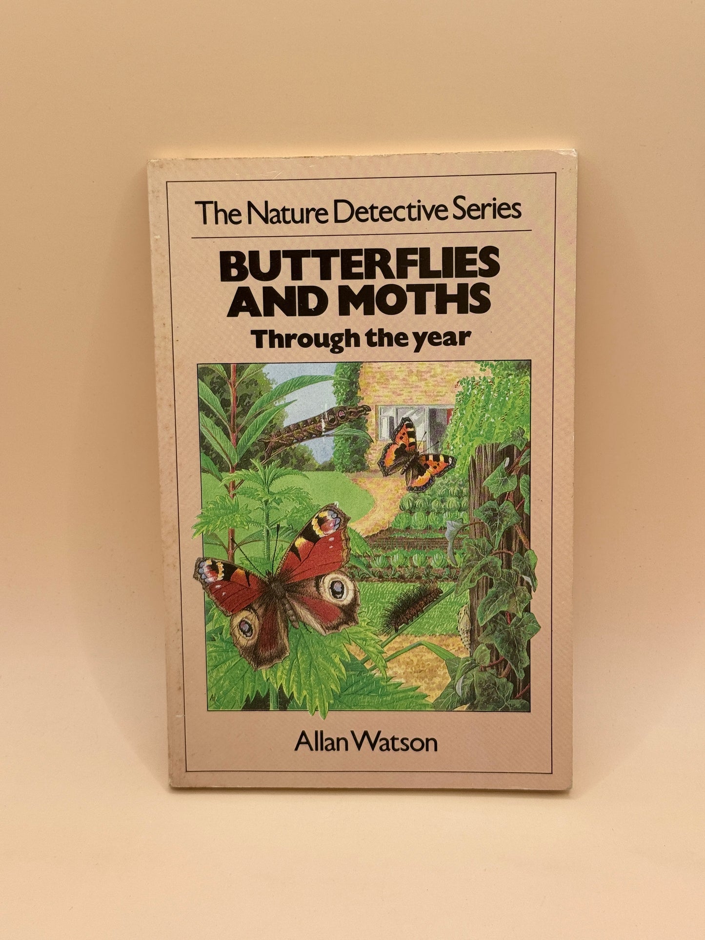 Butterflies and Moths Through the Year by Allan Watson