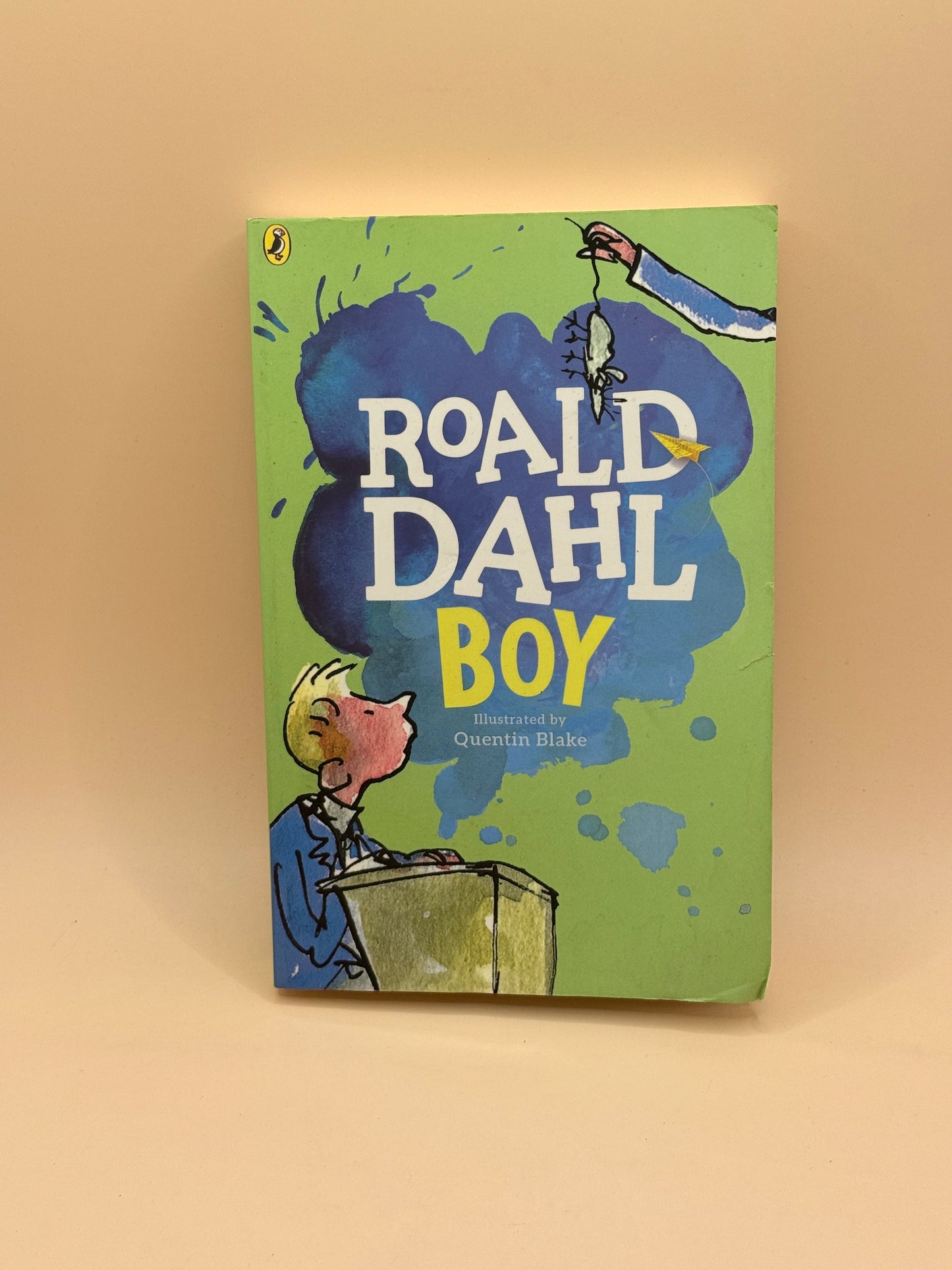 Boy by Roald Dahl