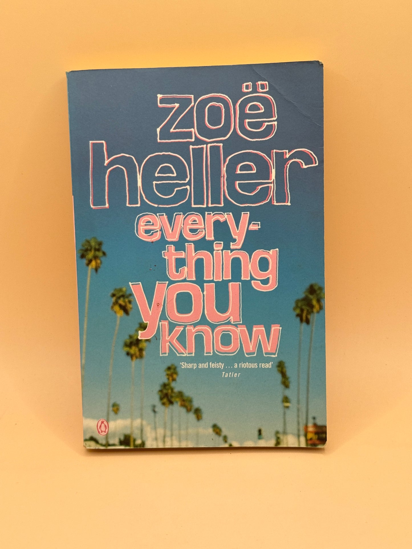Everything You Know by Zoë Heller