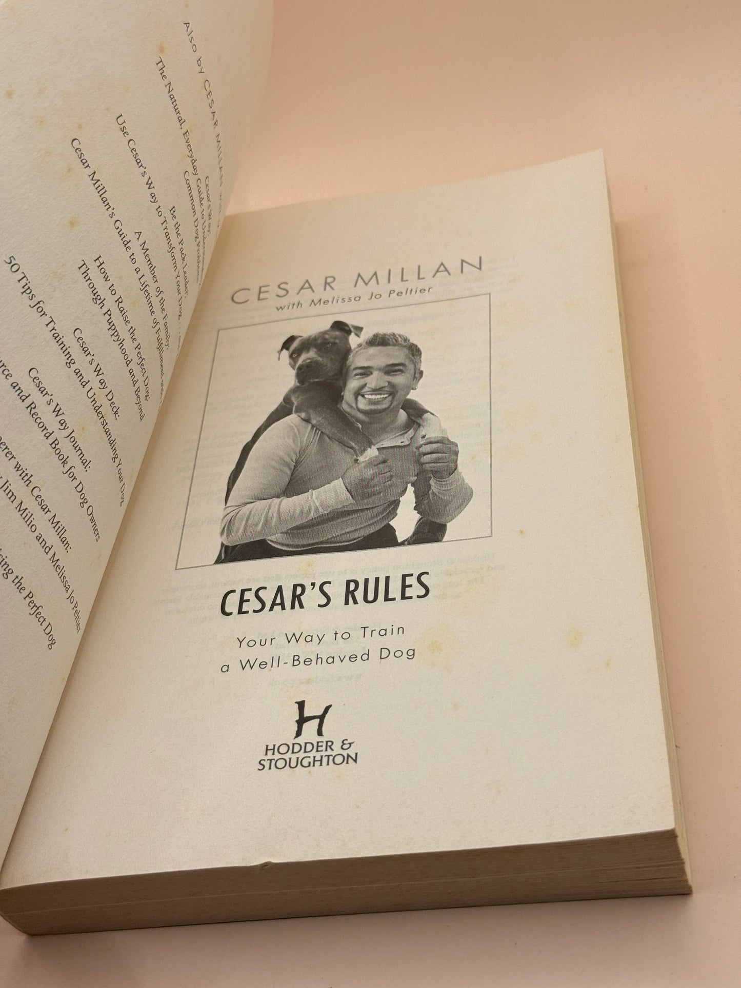 Cesar's Rules: Your Way to Train a Well-Behaved Dog