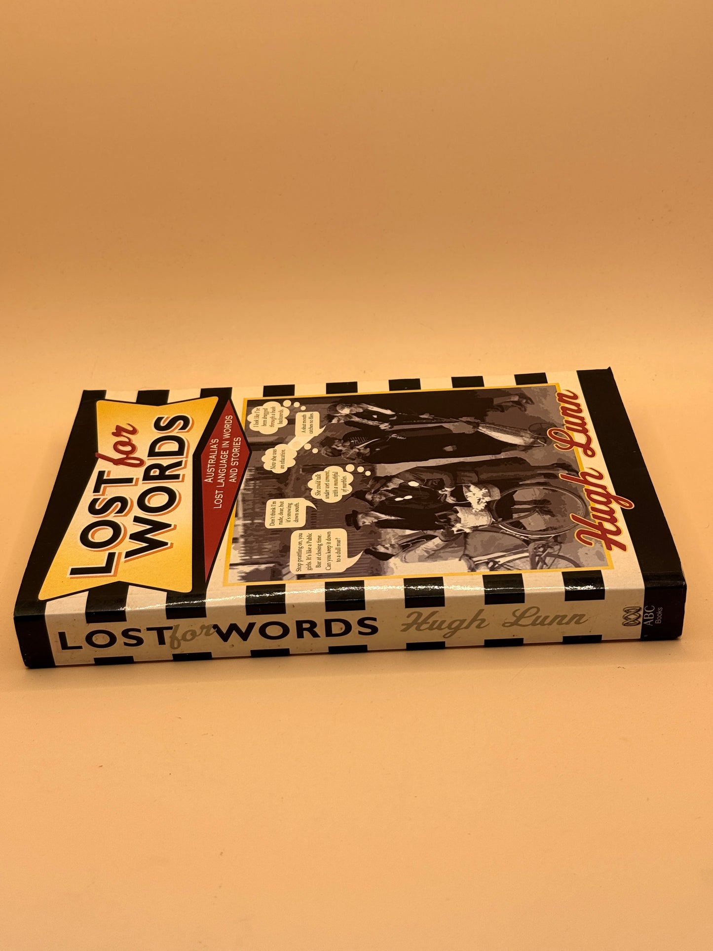 Lost for Words by Hugh Lunn