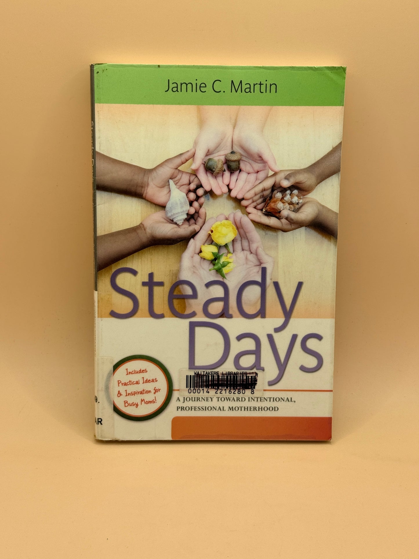 Steady Days: A Journey Toward Intentional, Professional Motherhood