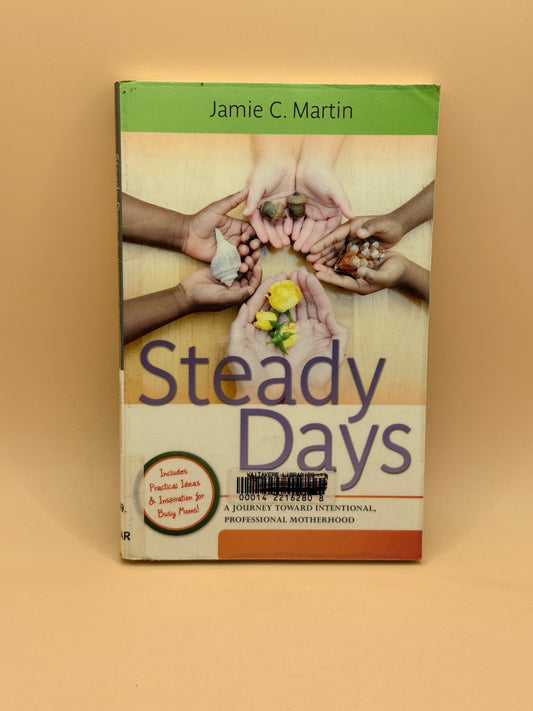 Steady Days: A Journey Toward Intentional, Professional Motherhood