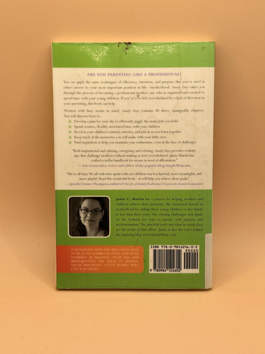Steady Days: A Journey Toward Intentional, Professional Motherhood
