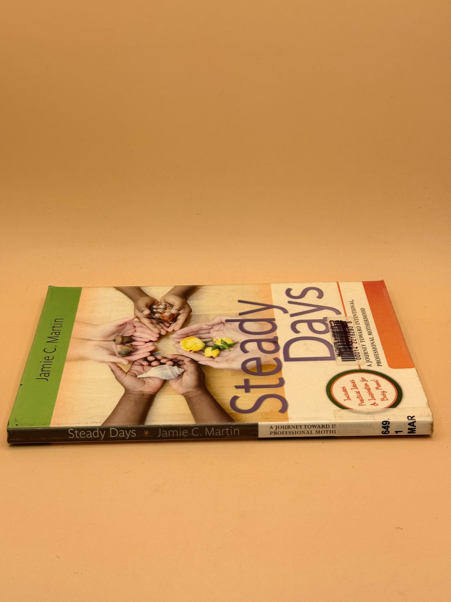 Steady Days: A Journey Toward Intentional, Professional Motherhood