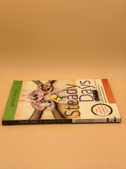 Steady Days: A Journey Toward Intentional, Professional Motherhood