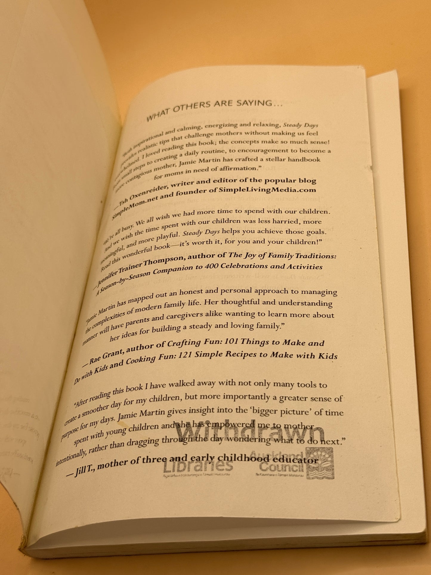 Steady Days: A Journey Toward Intentional, Professional Motherhood
