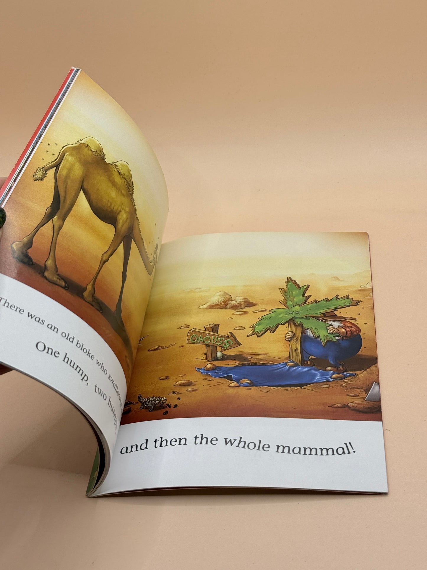 There Was an Old Bloke Who Swallowed a Chook by P. Crumble & Louis Shea