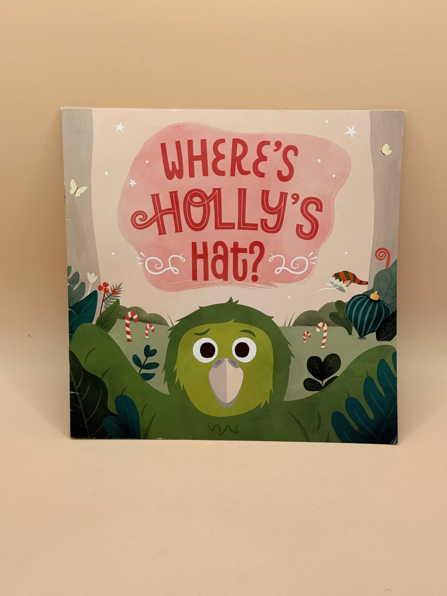 Where's Holly's Hat? by Sylvia Park