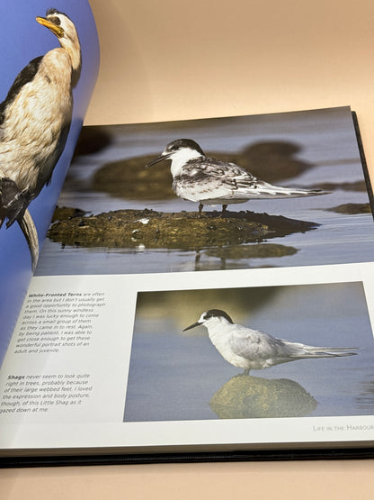 Visions of Nature: New Zealand's Wild in the West by Trevor Penfold