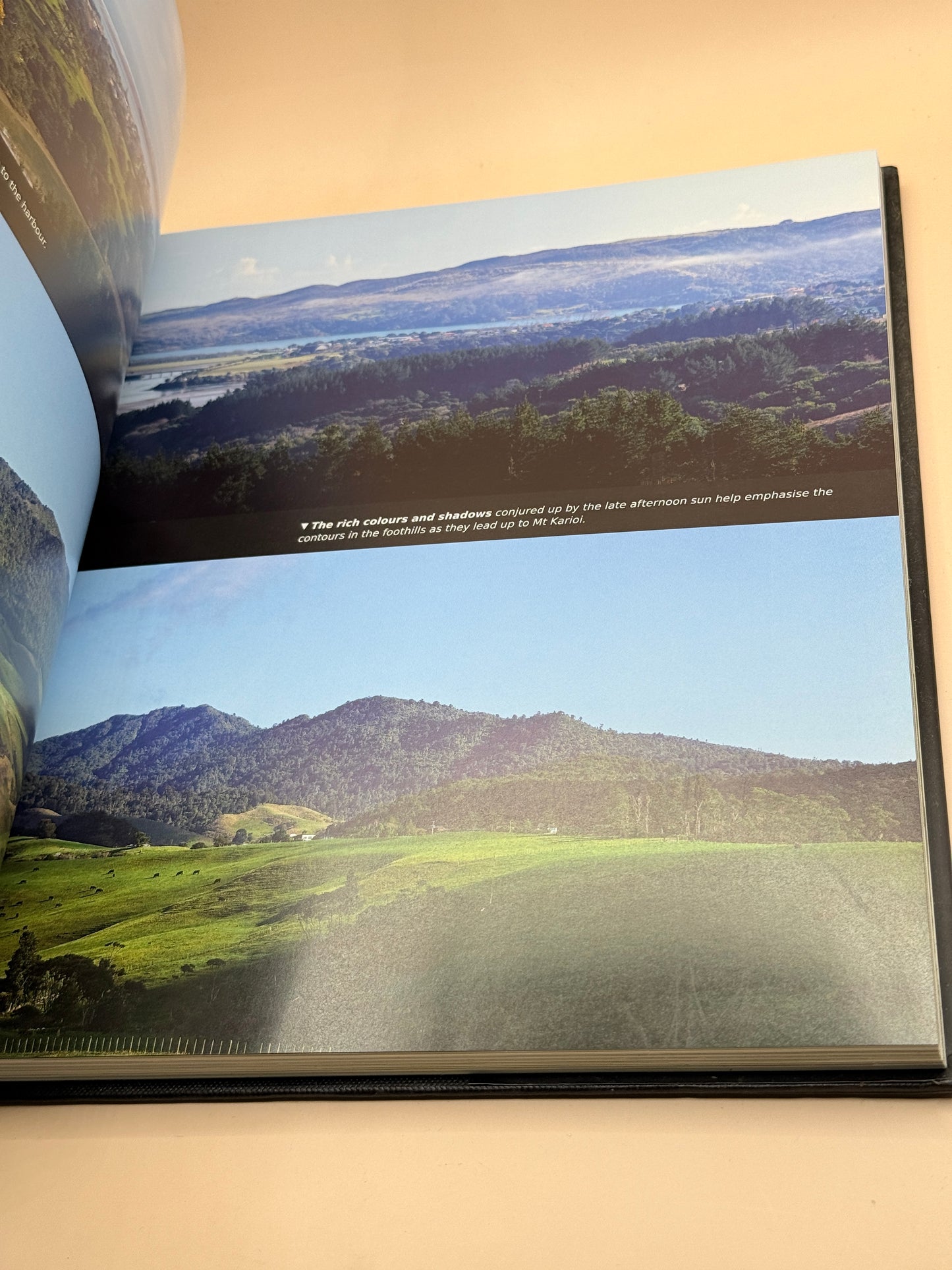 Visions of Nature: New Zealand's Wild in the West by Trevor Penfold