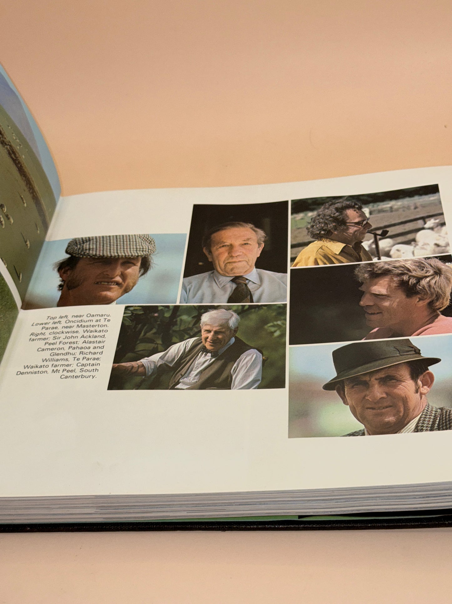The New Zealanders by James Siers and Jim Henderson