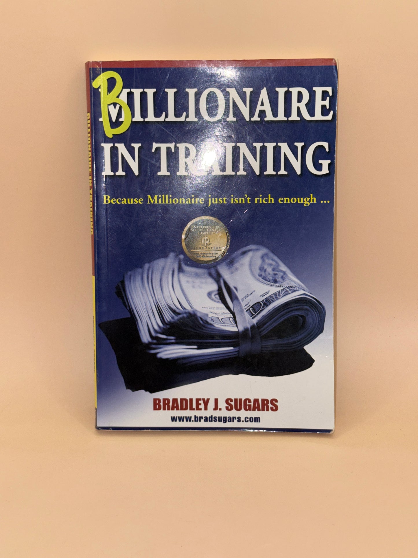 Billionaire in Training by Bradley J. Sugars
