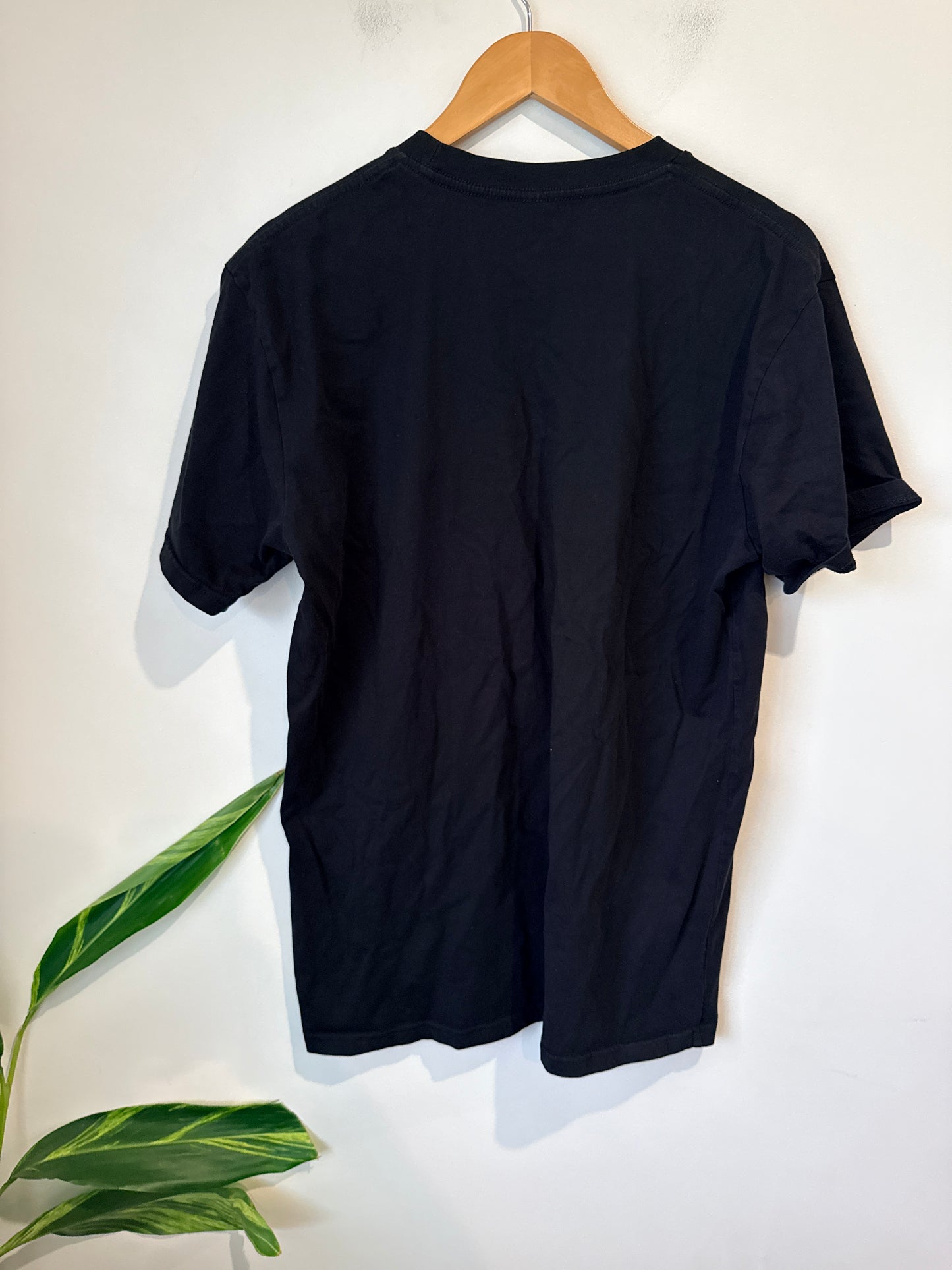 Ascolour Graphic Tee Size L