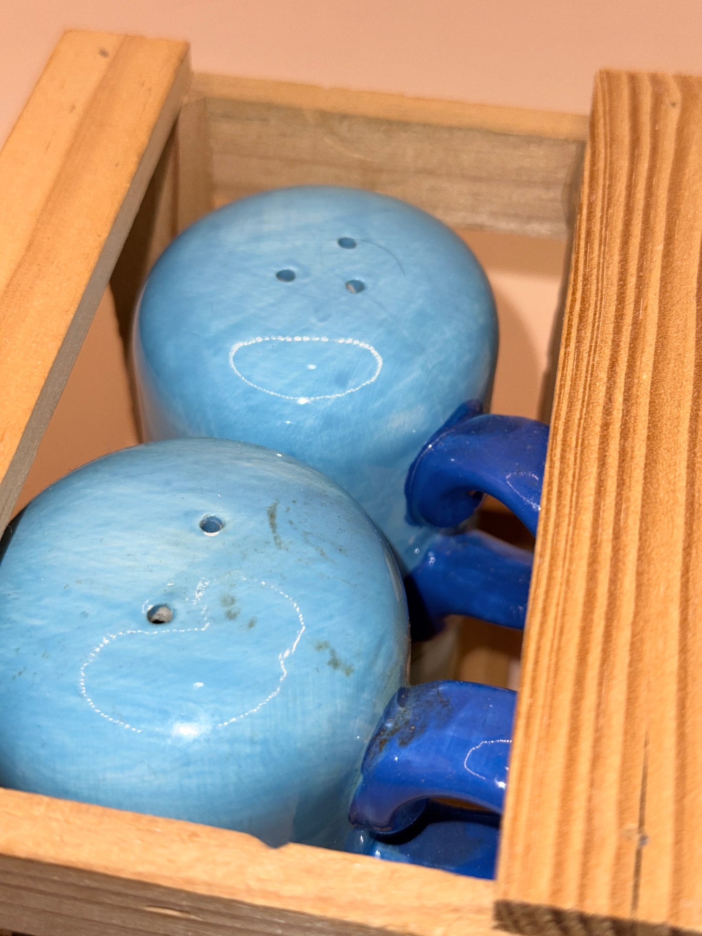 NZ Pukeko Salt & Pepper Shaker Set with Wooden Crate