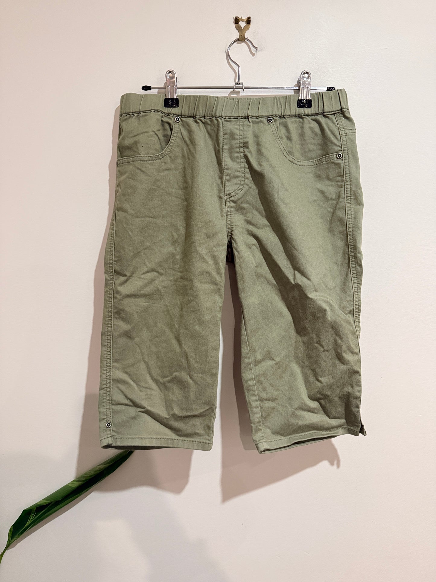 Café Latté Elastic-waist Shorts Size 8