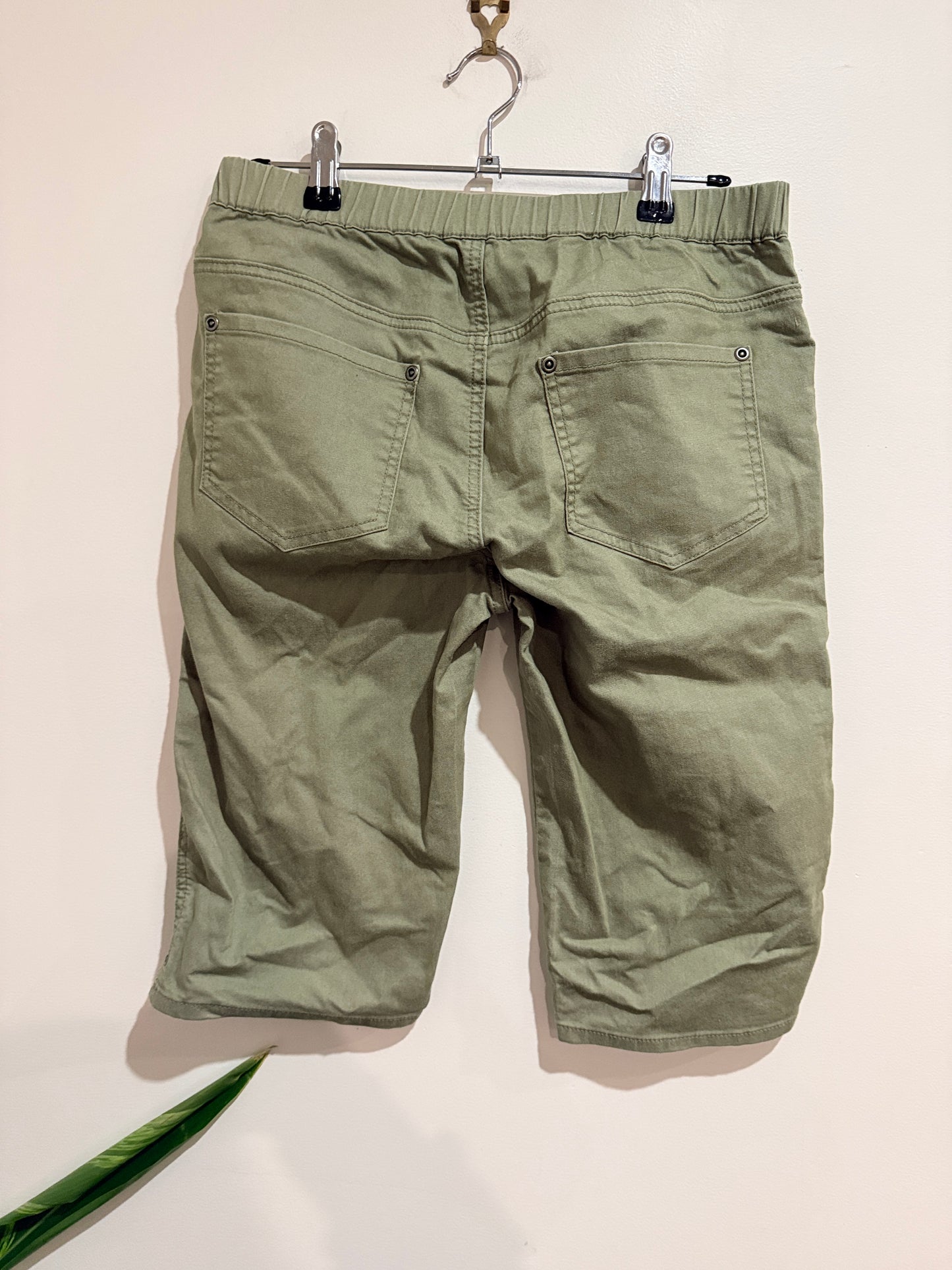 Café Latté Elastic-waist Shorts Size 8