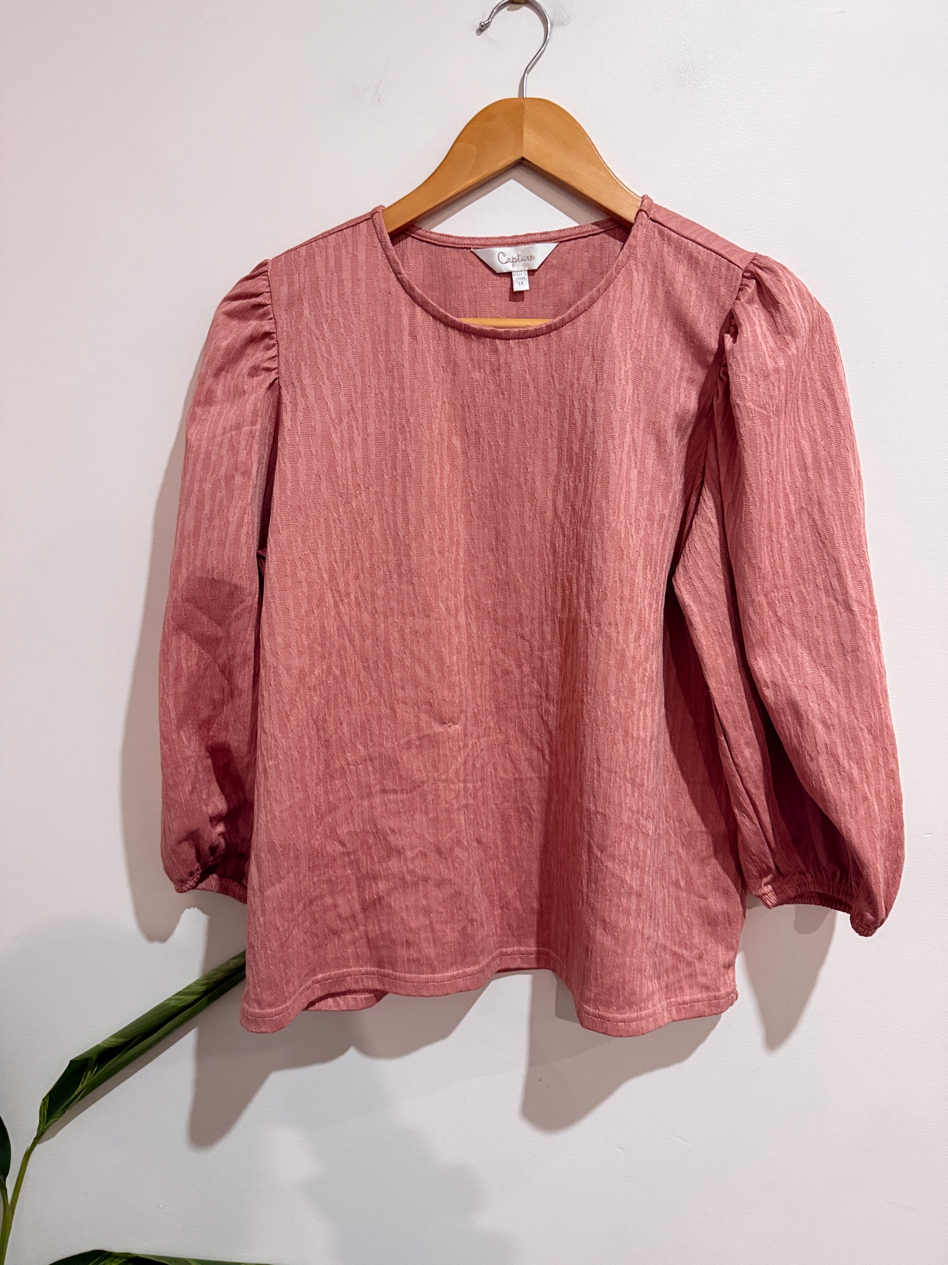 Capture Textured Puffed Sleeves Top Size 14