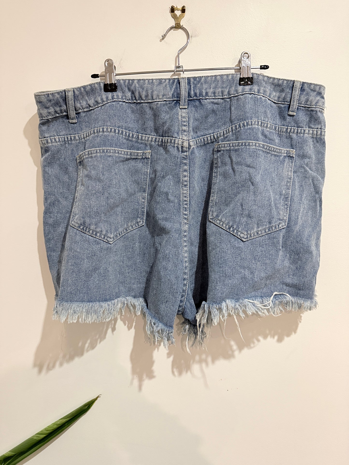 Shein Raw Hem Denim Shorts Size 3XL