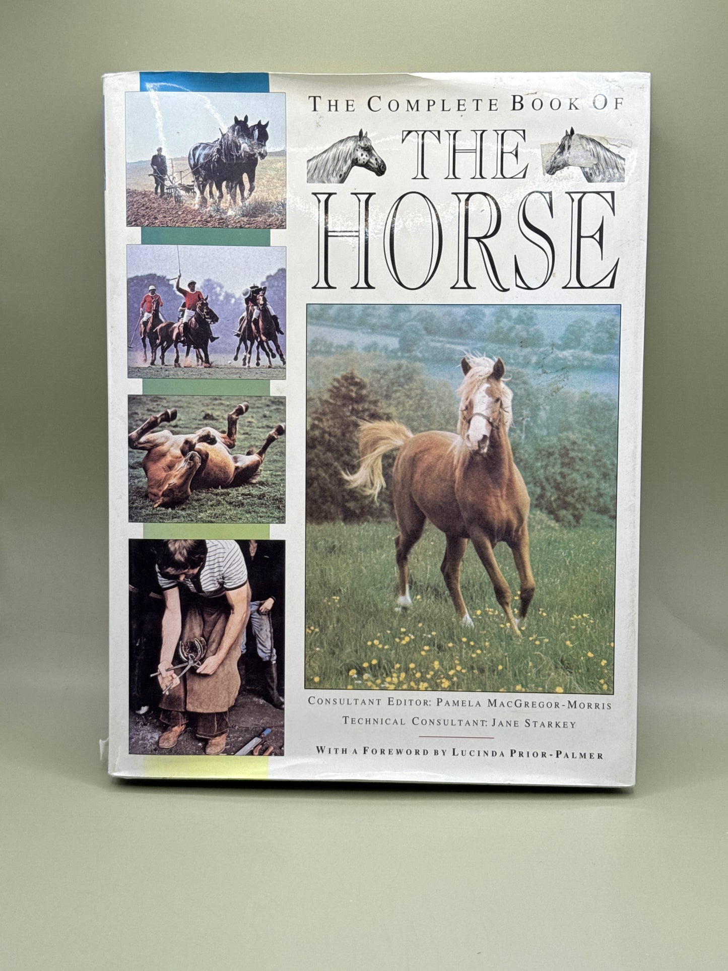 The Complete Book of the Horse by Pamela MacGregor-Morris
