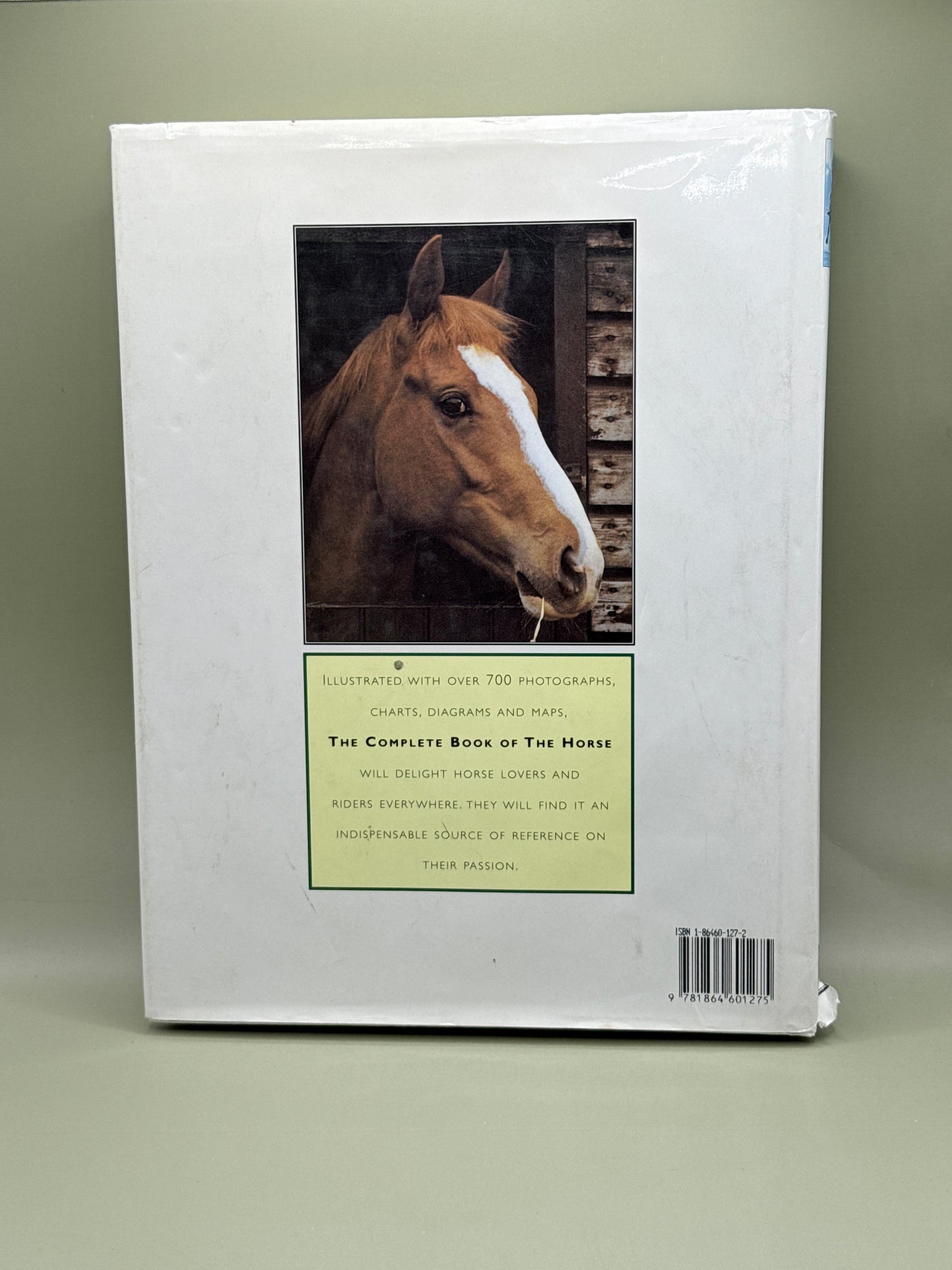 The Complete Book of the Horse by Pamela MacGregor-Morris