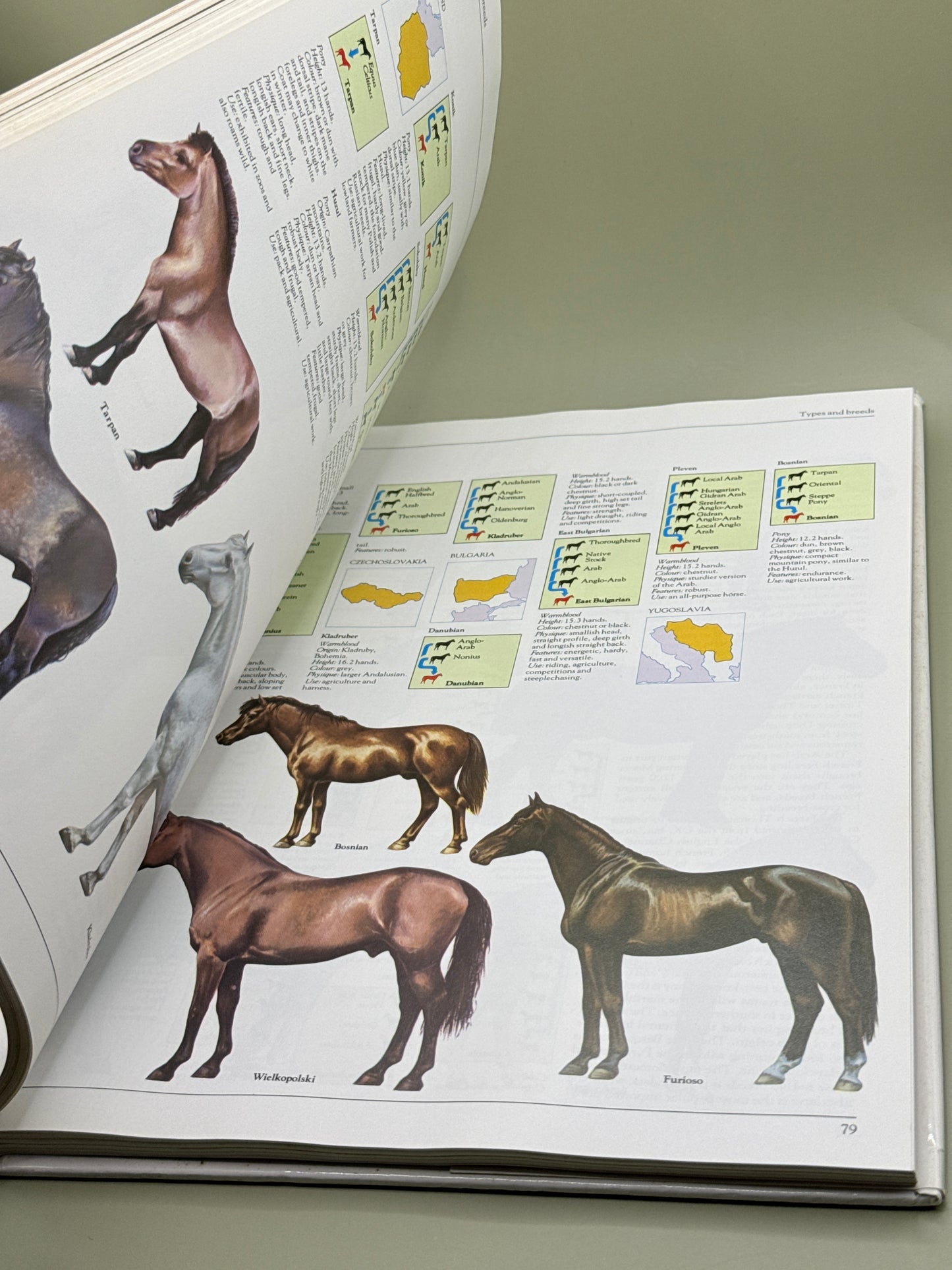 The Complete Book of the Horse by Pamela MacGregor-Morris