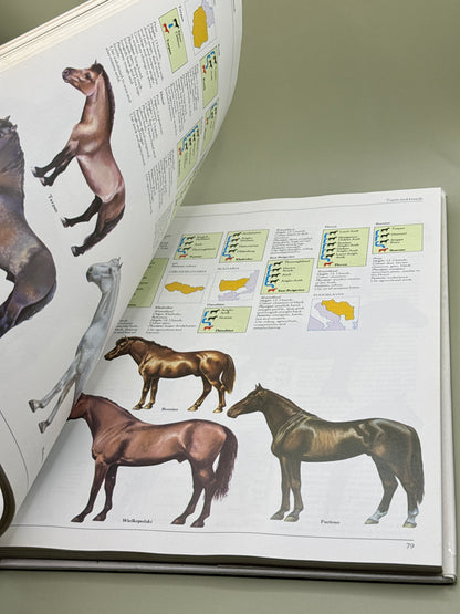 The Complete Book of the Horse by Pamela MacGregor-Morris
