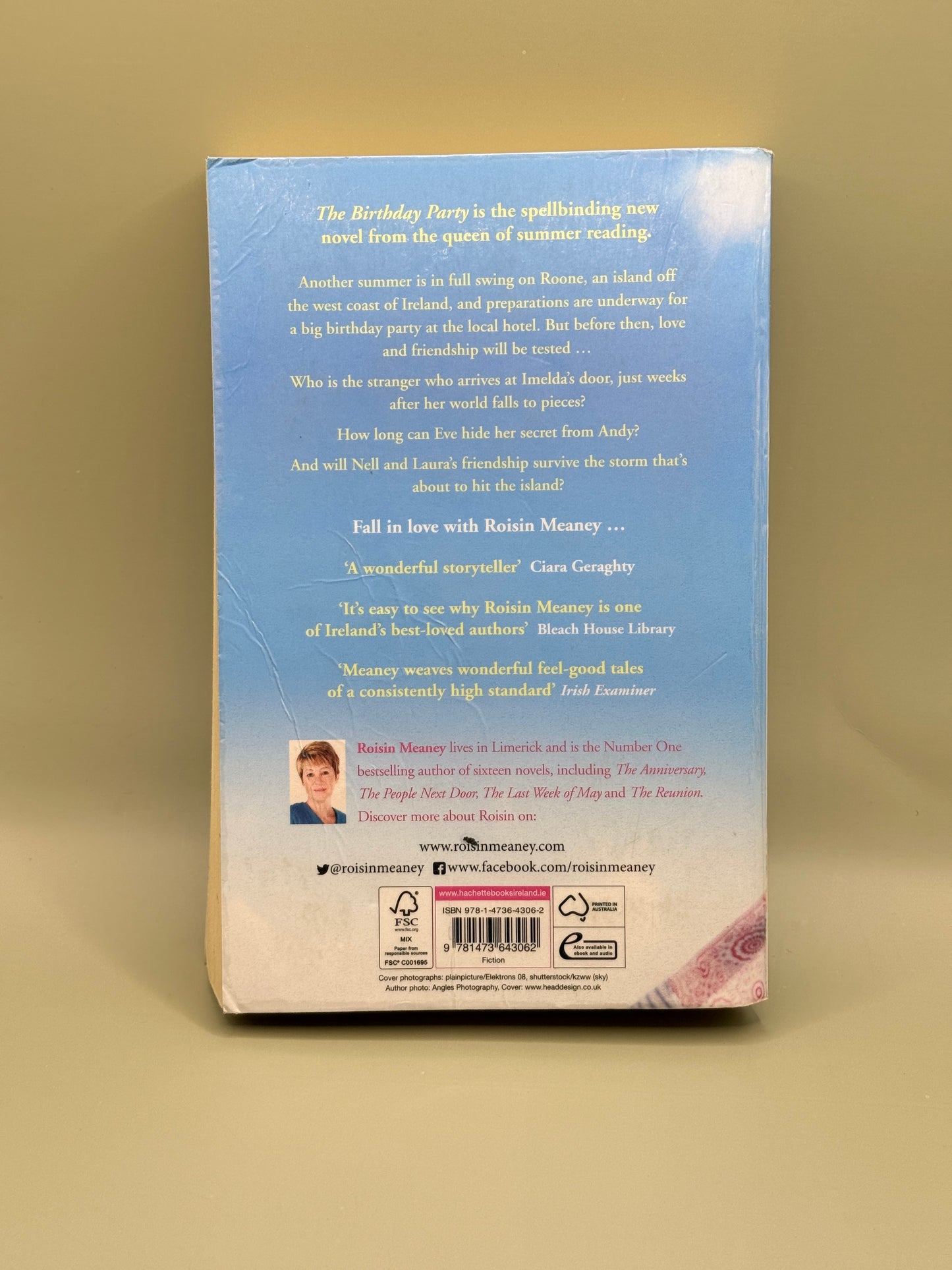The Birthday Party by Roisin Meaney