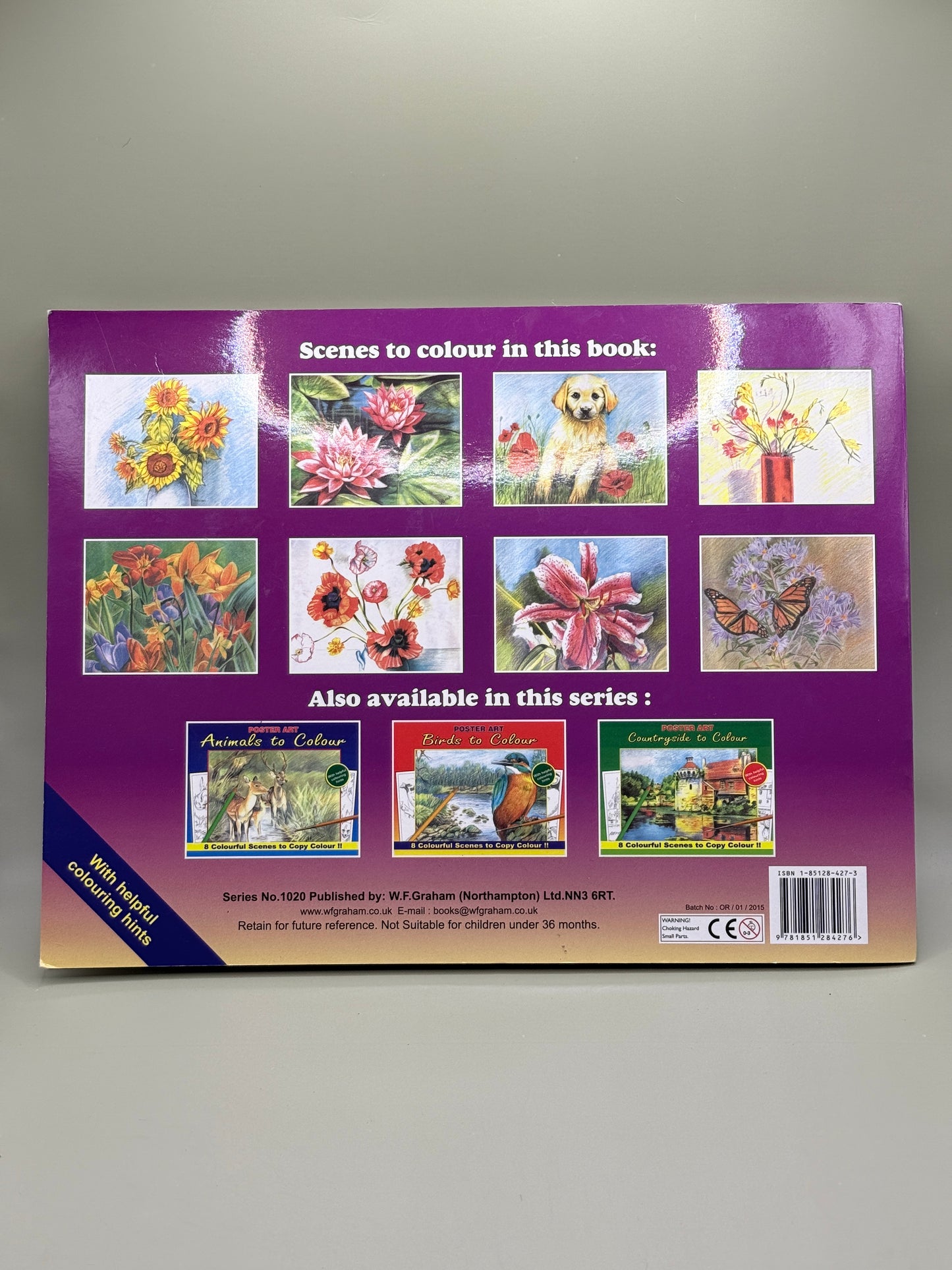 Poster Art Flowers to Colour