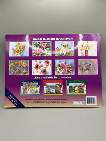 Poster Art Flowers to Colour