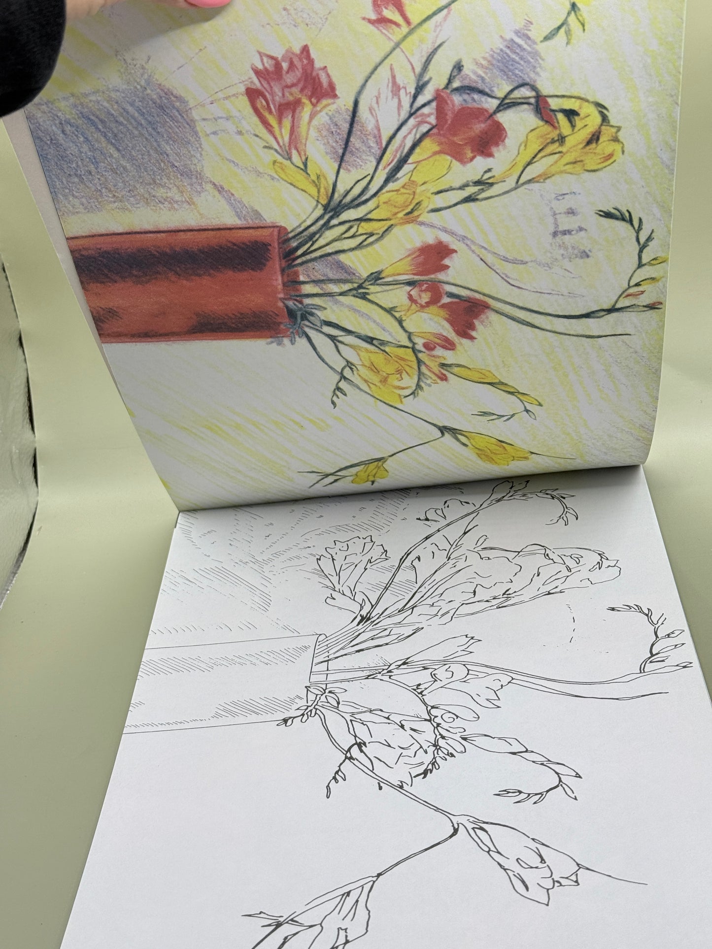 Poster Art Flowers to Colour