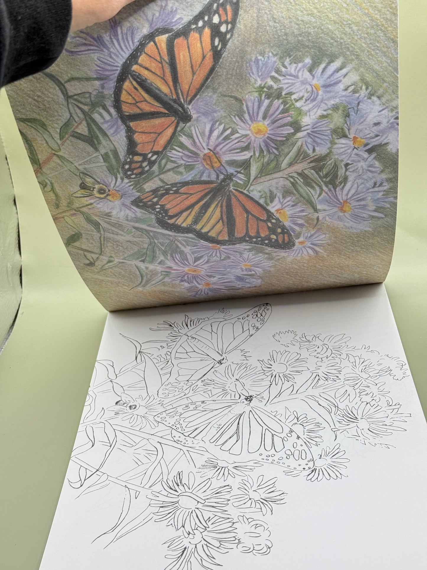 Poster Art Flowers to Colour