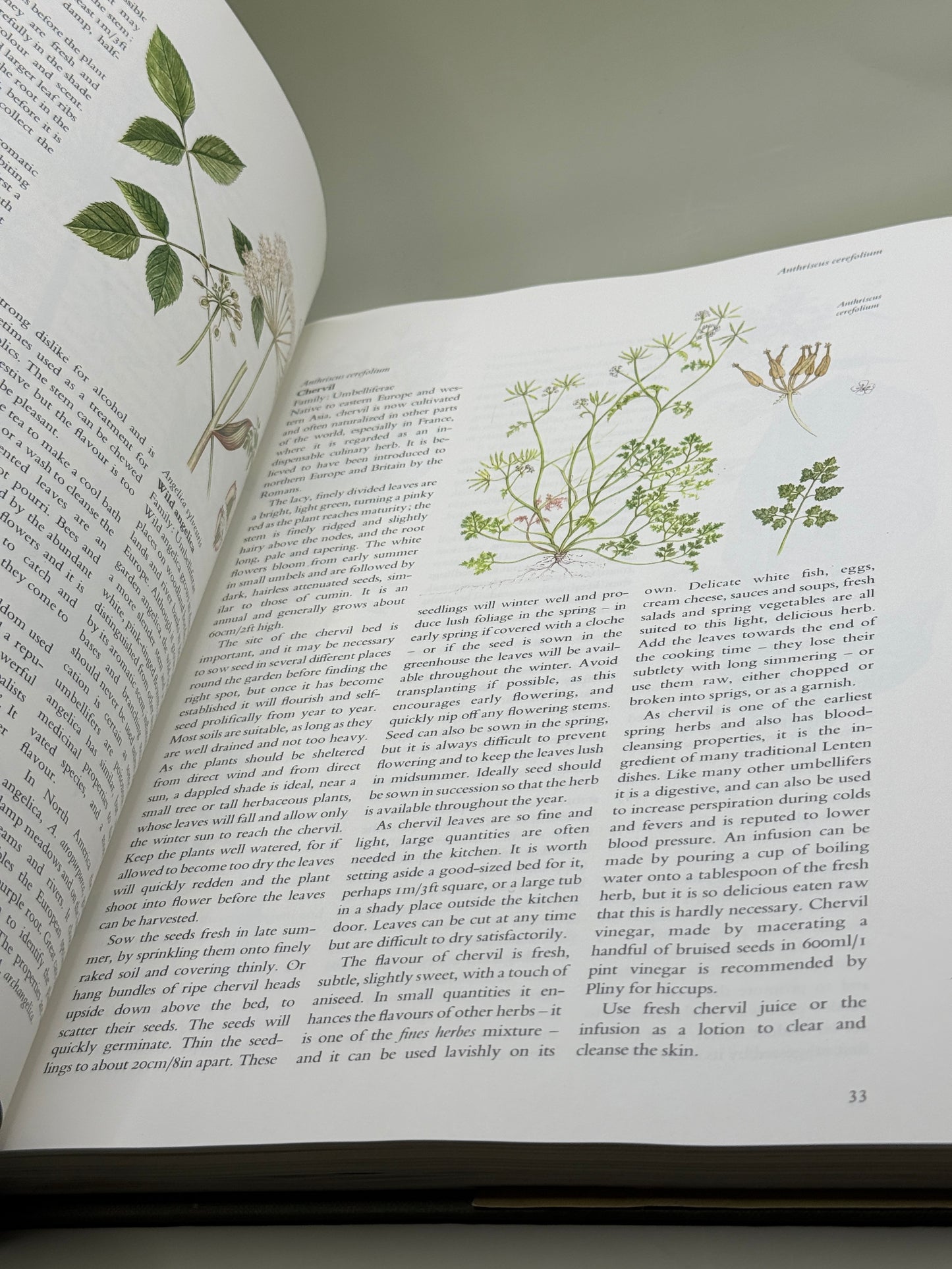 The Herb & Spice Book by Sarah Garland
